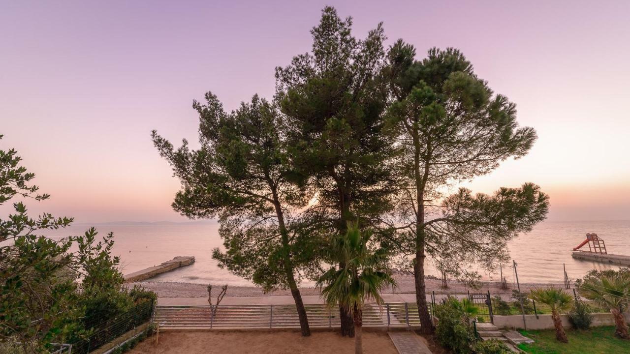 Sun & Salt Apartments Bibinje Extérieur photo